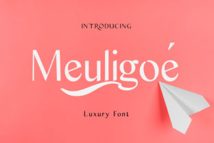 Meuligoe Font for Editorial Design Projects