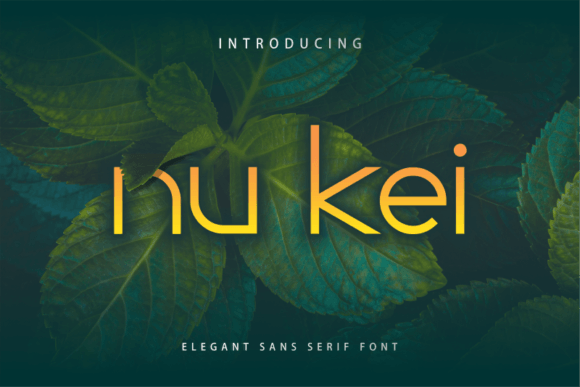 Nu Kei Font: A Display Typeface for Modern Craft Creators