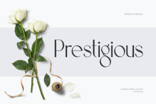Prestigious Display Font for Timeless Branding Projects
