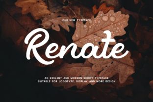 Renate Display Font for Impactful Web Typography