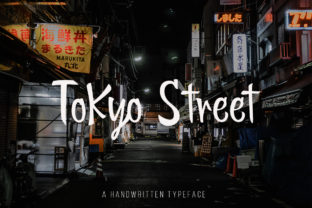 Tokyo Street Font for Modern Web Design Projects