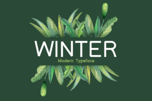 Winter Font: A Modern Typeface for Editorial Elegance